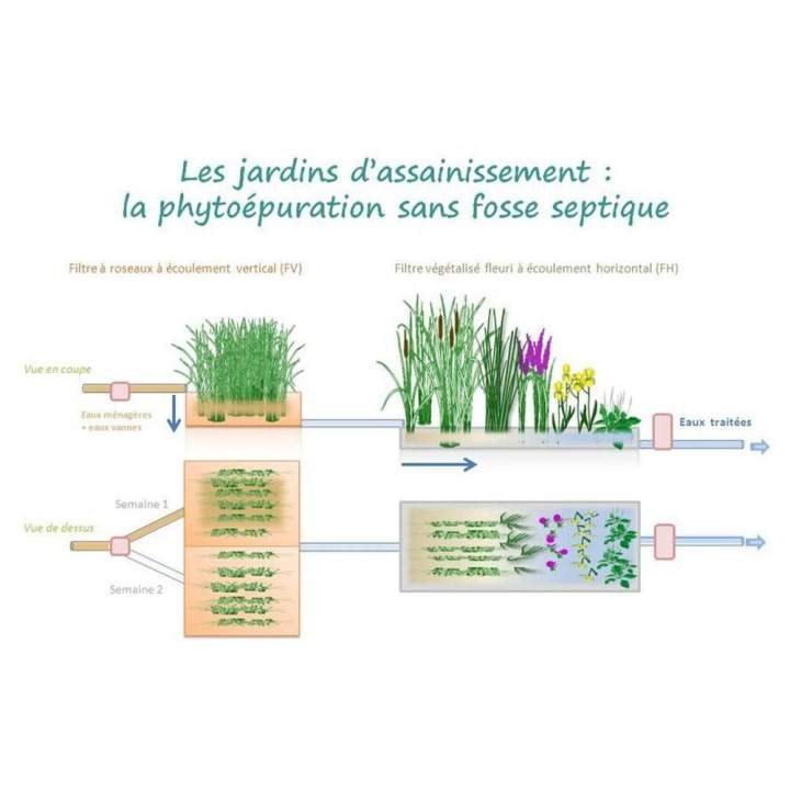 Phytoépuration Vay