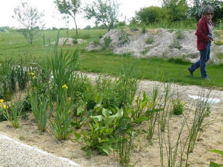 Assainissement naturel Vay