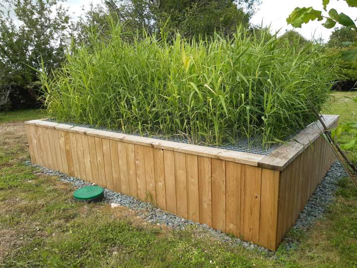 Nous avons plus de 10 ans d’expérience dans l’épuration par les plantes.